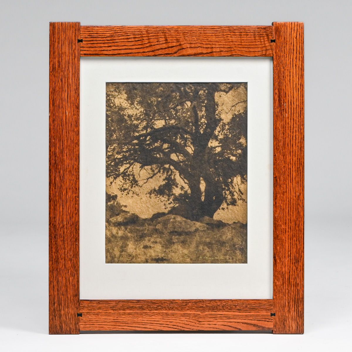 Charles Henry Ravell (1864-1930) Gum Bichromate Photo "Cypress Tree, Pebble Beach" 1910