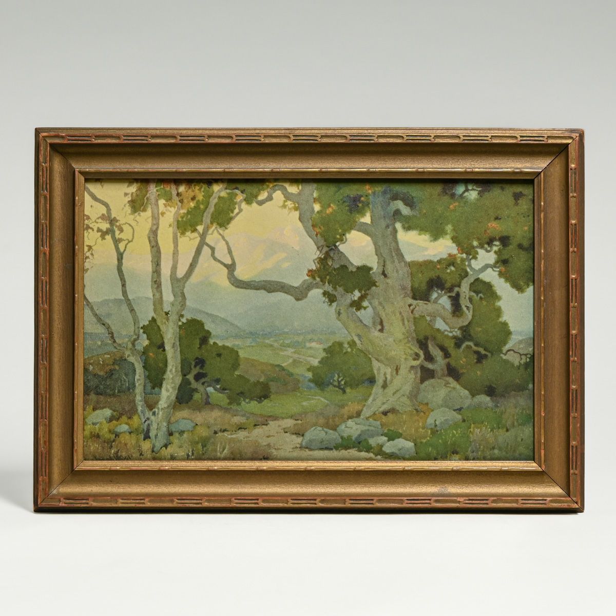 Marion Wachtel Volchrome Print “The Oaks” c1917