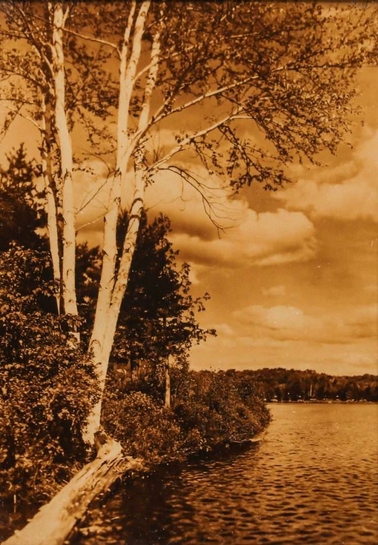 California Historical Design | Antique Gold Tone Photo Lakeside Birch